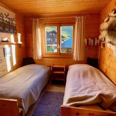 Apartment Holiday Chalet On The Sunny Slope Bettmeralp