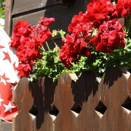 Holiday Chalet On The Sunny Slope *